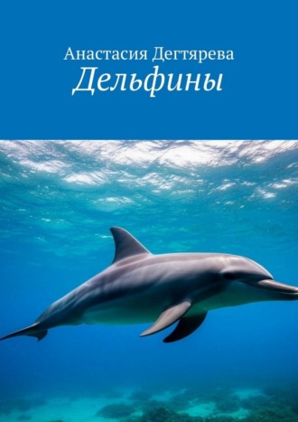 Анастасия Дегтярева. Дельфины