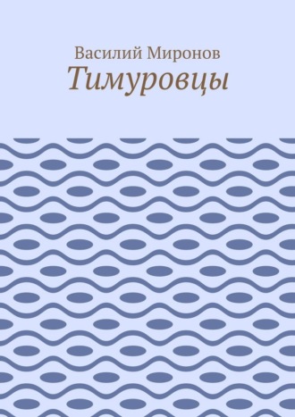 Василий Валерьевич Миронов. Тимуровцы