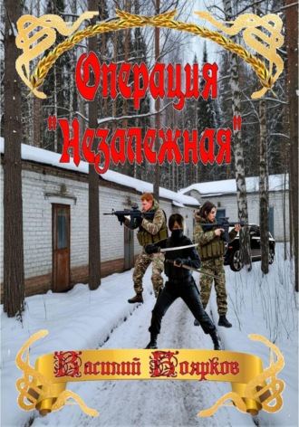 Василий Боярков. Операция 