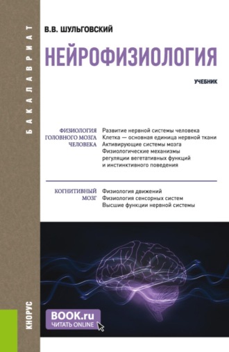 Нейрофизиология. (Аспирантура, Бакалавриат, Магистратура, Ординатура). Учебник.. Валерий Викторович Шульговский
