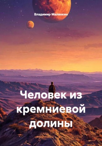 Владимир Юрьевич Малянкин. Человек из кремниевой долины