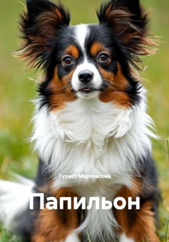Папильон. 