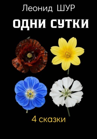 Одни сутки. 