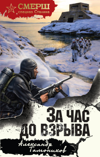 За час до взрыва. Александр Тамоников