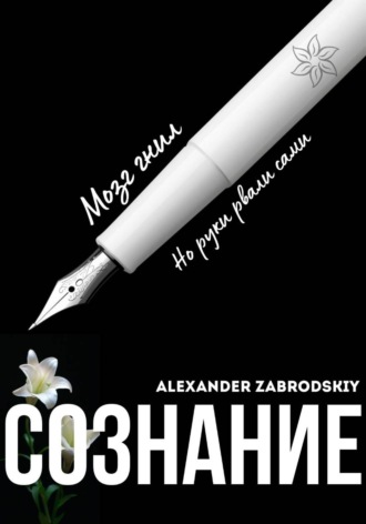Alexander Zabrodskiy. Сознание