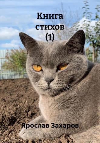 Книга стихов (1). 