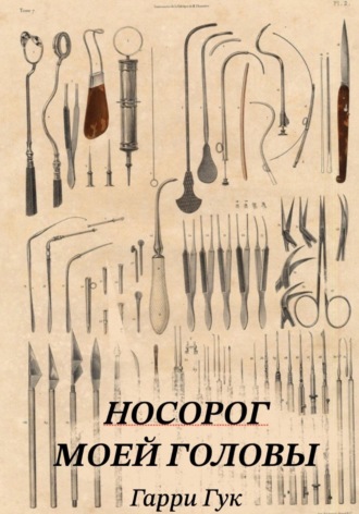 Гарри Гук. Носорог моей головы