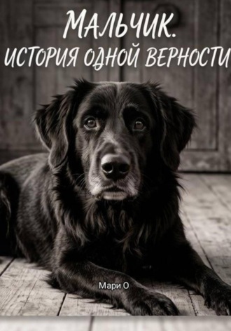 Мальчик. История одной верности. 