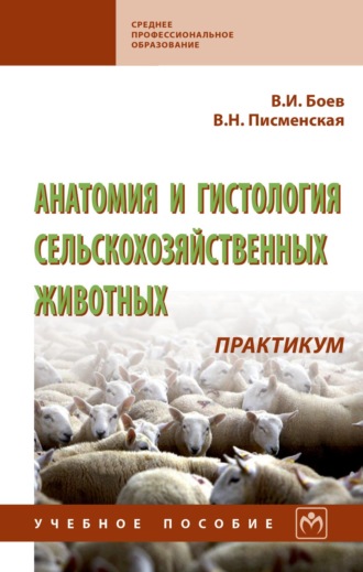 Анатомия и гистология сельскохозяйственных животных: Практикум. Вячеслав Иванович Боев