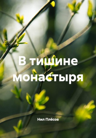 В тишине монастыря. Нил Плёсов