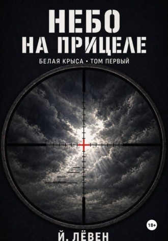 Небо на прицеле. 
