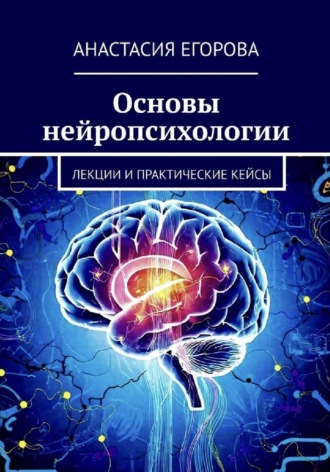 Анастасия Егорова. Основы нейропсихологии