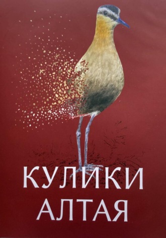Николай Крымов. Кулики Алтая