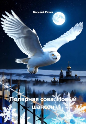 Василий Разин. Полярная сова. Новый шансон