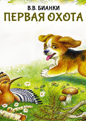 Виталий Бианки. Первая охота