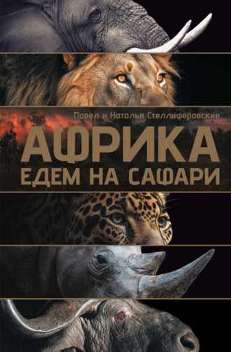 Наталья Стеллиферовская. Африка. Едем на сафари