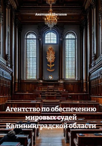 Анатолий Шигапов. Агентство по обеспечению мировых судей Калининградской области