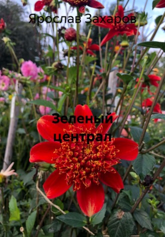Зеленый централ. Ярослав Захаров