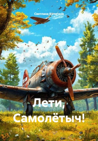 Лети, Самолётыч!. 