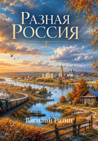 Разная Россия. Василий Разин