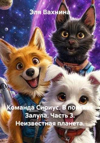 Эля Вахнина. Команда Сириус. В поисках Залула. Часть 3. Неизвестная планета