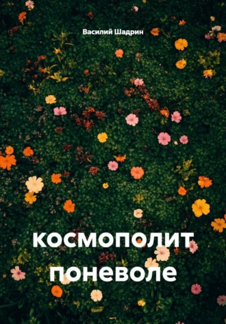Василий Шадрин. Космополит поневоле