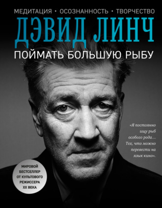 Поймать большую рыбу. Медитация, осознанность, творчество. Дэвид Линч