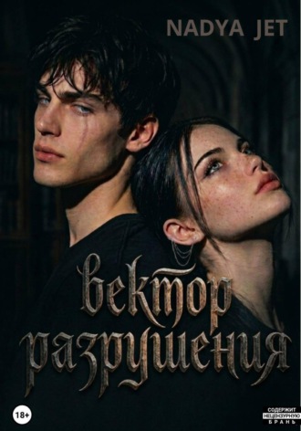 Вектор разрушения. Nadya Jet
