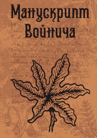 Манускрипт Войнича. Автор Неизвестен