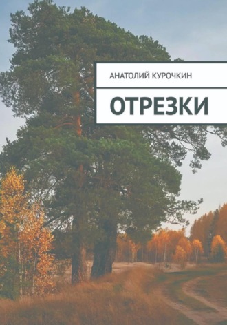 Анатолий Курочкин. Отрезки