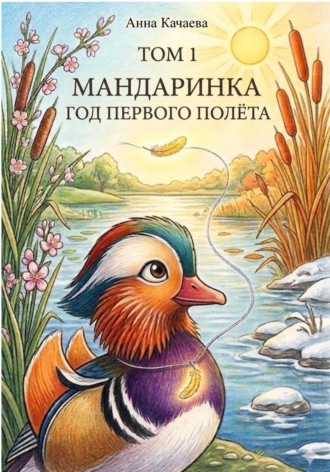 Мандаринка. Год первого полёта. Том 1. Анна Качаева
