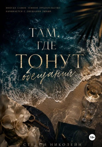 Там, где тонут обещания. Стейси Николейн