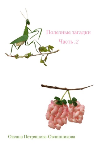 Полезные загадки. Часть 2. Оксана Петряшова-Овчинникова