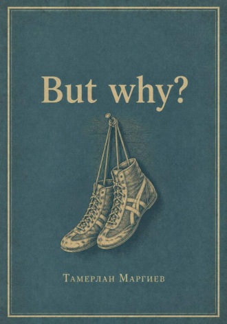 But why?. Тамерлан Маргиев