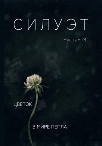Рустам М.. Силуэт