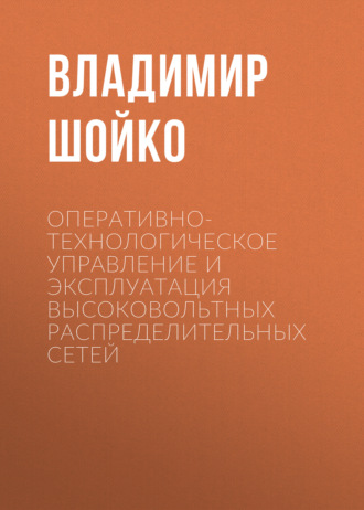 Владимир Шойко. Оперативно-технологическое управление и эксплуатация высоковольтных распределительных сетей