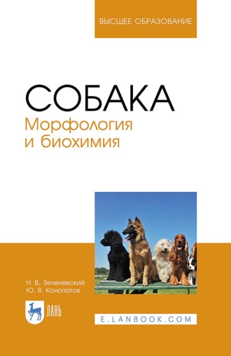 Н. В. Зеленевский. Собака. Морфология и биохимия. Учебное пособие для вузов. 3-е издание, исправленное и дополненное
