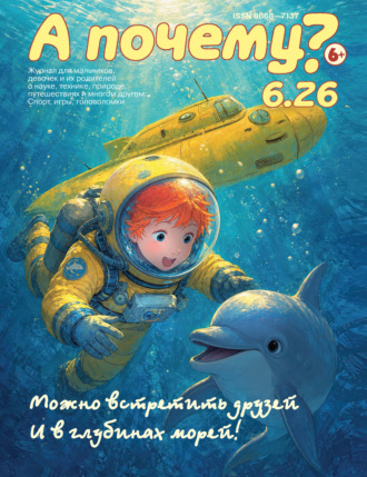 Группа авторов. А почему? №06/2026