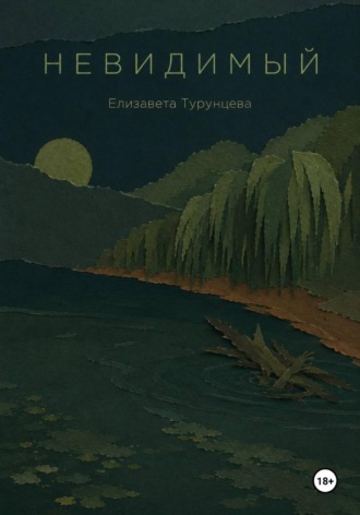 Елизавета Турунцева. Невидимый