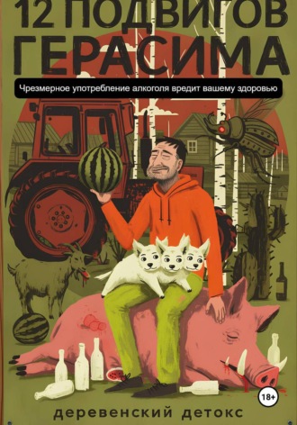 Ник Рубик. 12 подвигов Герасима