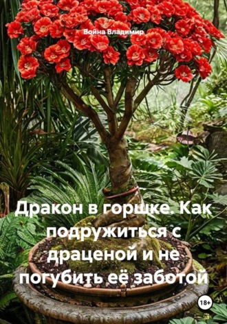 Война Владимир. Дракон в горшке. Как подружиться с драценой и не погубить её заботой