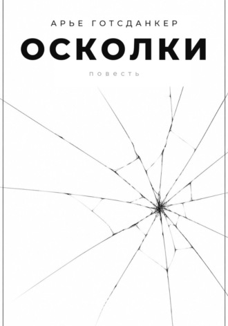 Осколки. Арье Готсданкер