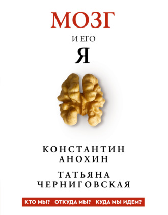 Т. В. Черниговская. Мозг и его «Я». Кто мы? Откуда мы? Куда мы идем?
