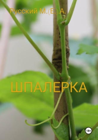 Шпалерка. Марат Алексеевич Русский