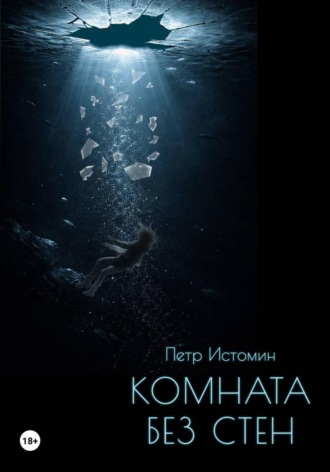 Комната без стен. Петр Истомин