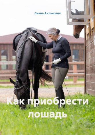 Как приобрести лошадь. Лиана Антонович