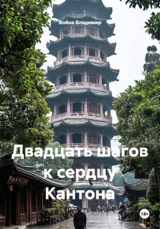 Двадцать шагов к сердцу Кантона. Война Владимир
