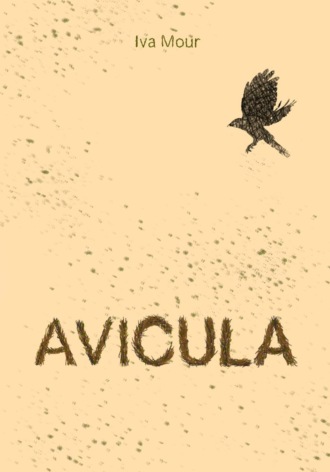 Avicula. Iva Mour