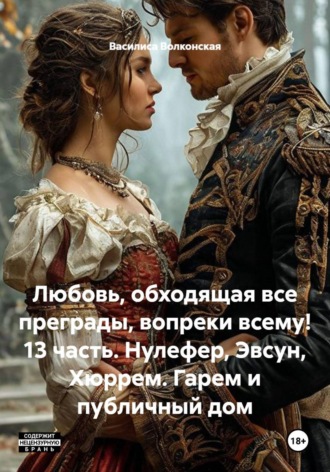 Василиса Волконская. Любовь, обходящая все преграды, вопреки всему! 13 часть. Нулефер, Эвсун, Хюррем. Гарем и публичный дом