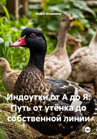 Война Владимир. Индоутки от А до Я: Путь от утёнка до собственной линии